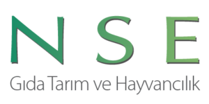 NSE logosu